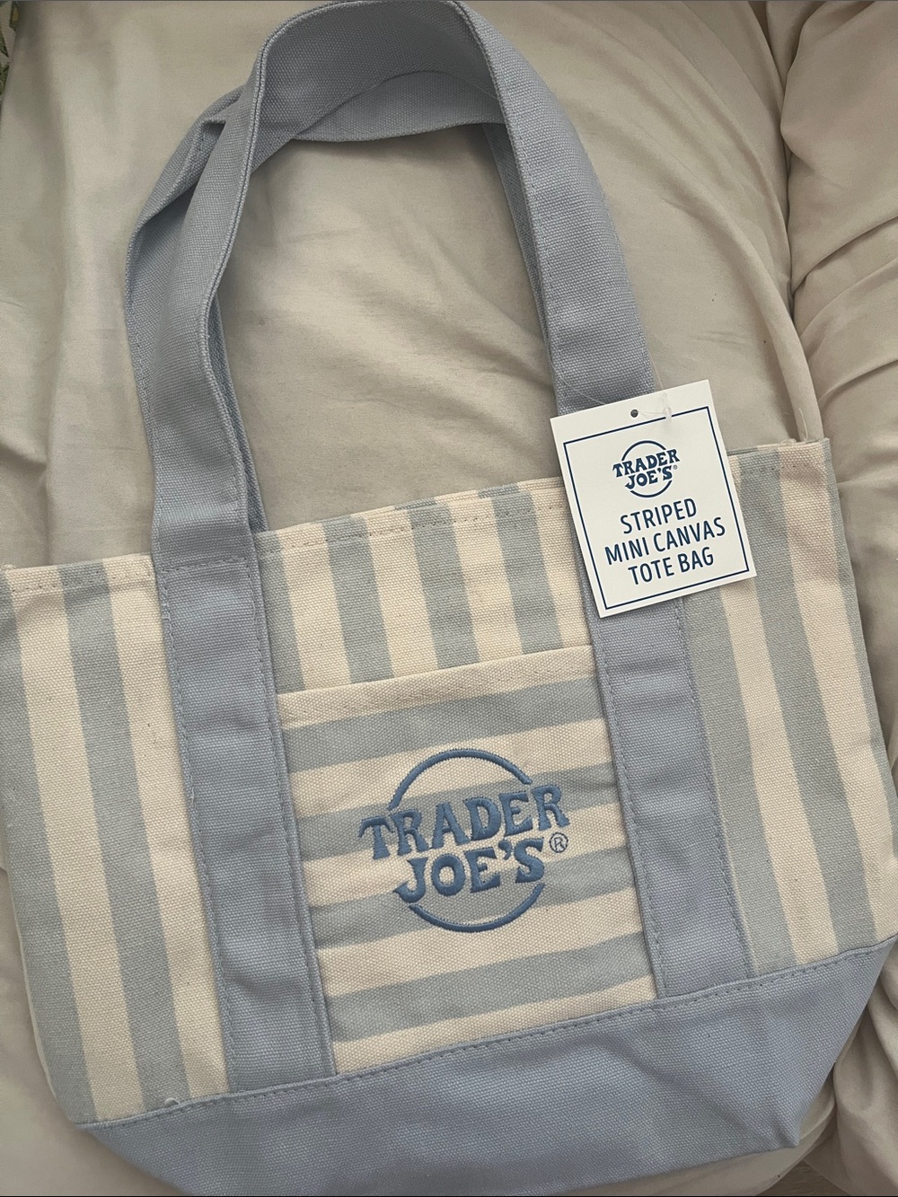 Trader Joe’s Striped Mini Canvas Tote Bag in blue